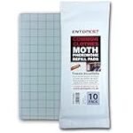 Embargos a lo bestia: ¿Cómo proteger tus muebles del hogar cerca de ti?